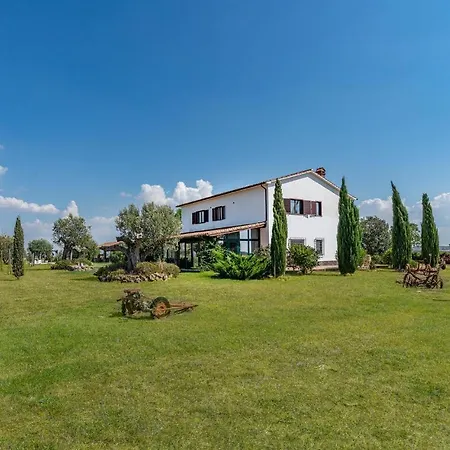 Formiconcino 蒙特贝罗