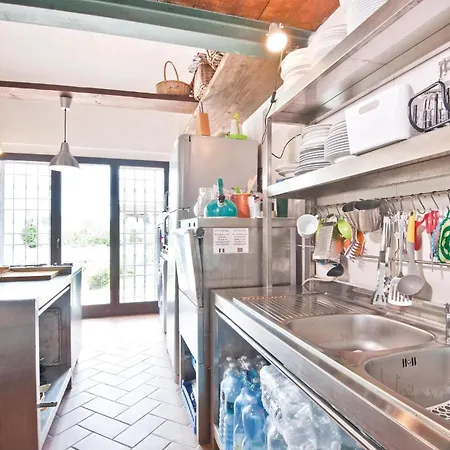 Formiconcino Montebello