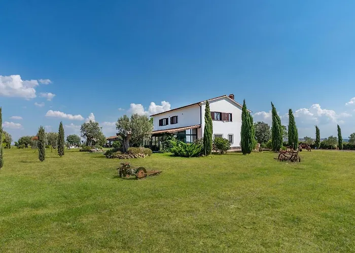 Formiconcino Montebello